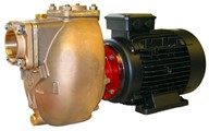 1½" Bronze Self-priming Centrifugal Motor Pump Unit
